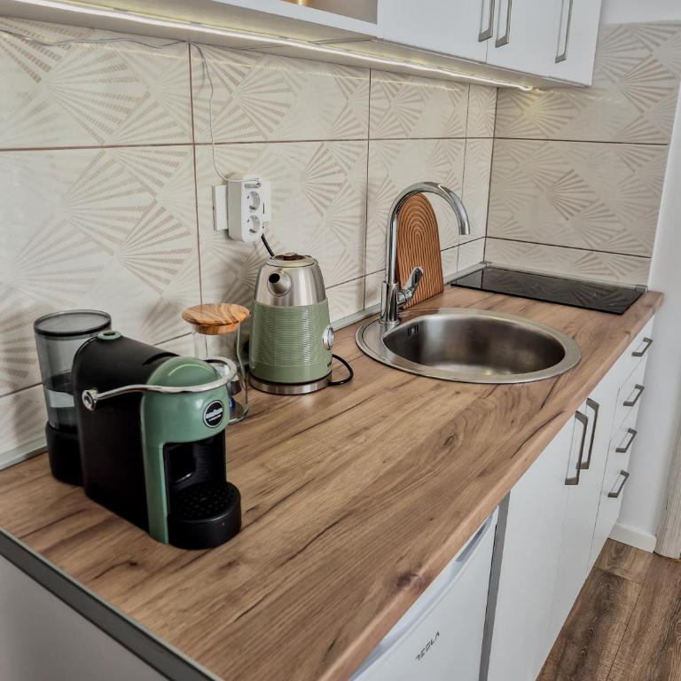 Bonaca Holiday Apartments Bar - Studio with Mountain View - 13