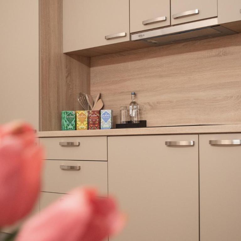 Allgäu Ferienwohnung Natur & Spa - Apartment 314 - Maisonette-Apartment - 15