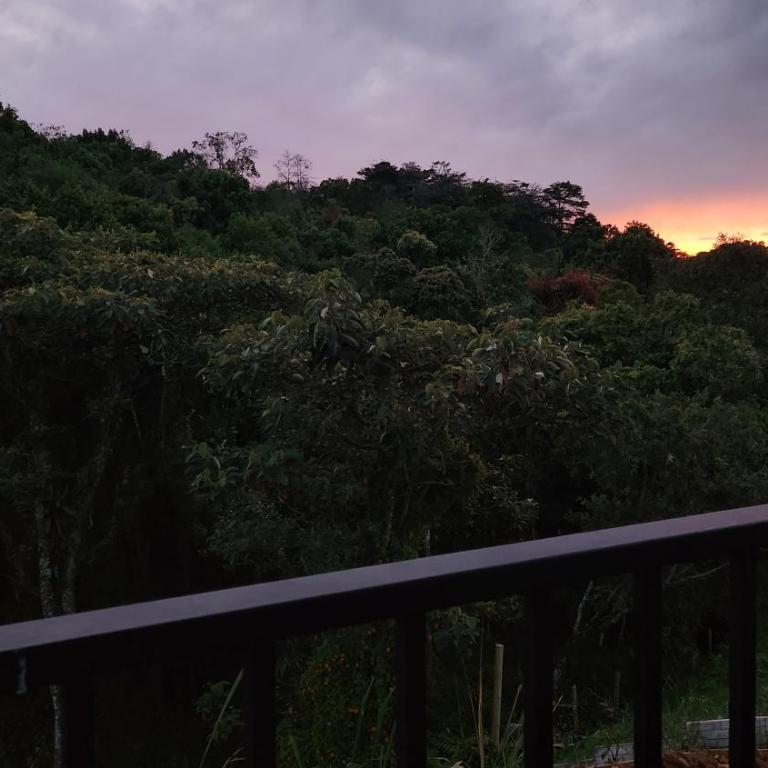 Ventana al bosque - Casa Vacacional de 3 dormitorios - 30