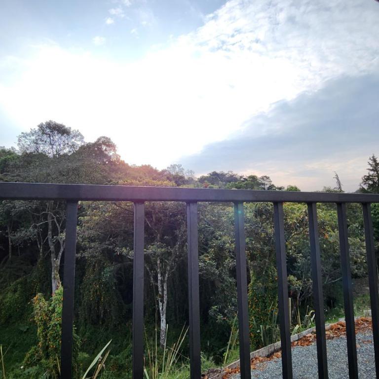 Ventana al bosque - Casa Vacacional de 3 dormitorios - 38