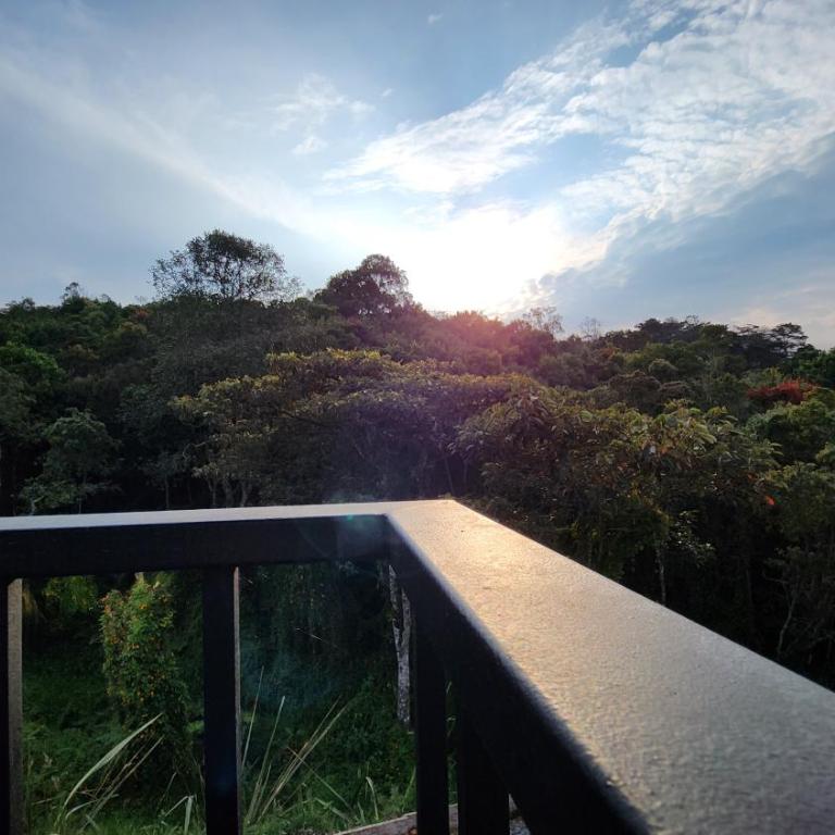 Ventana al bosque - Casa Vacacional de 3 dormitorios - 42