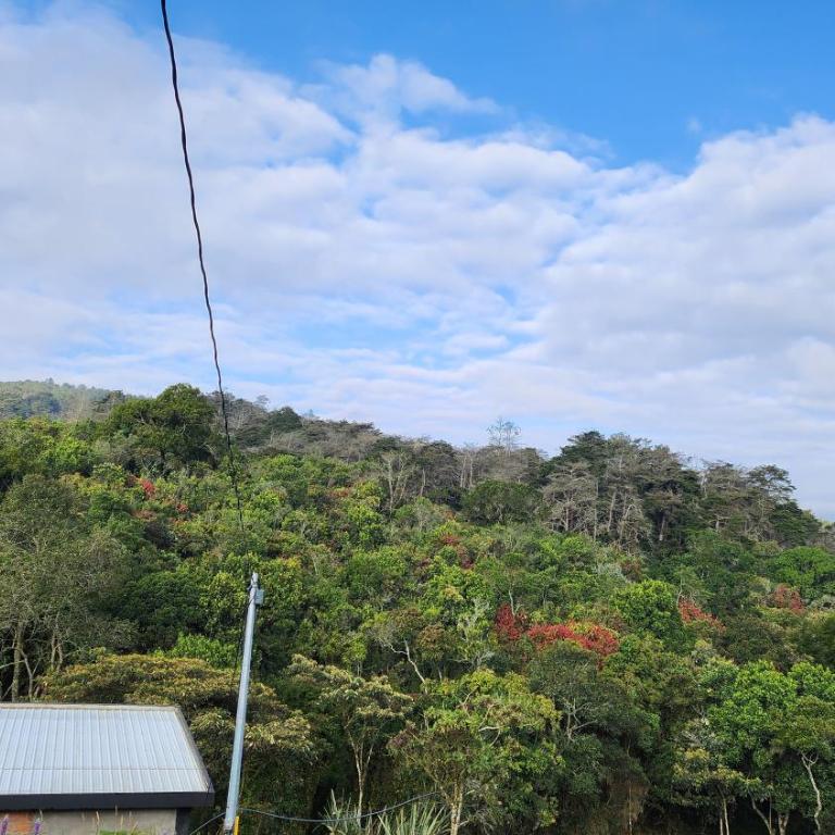 Ventana al bosque - Casa Vacacional de 3 dormitorios - 35