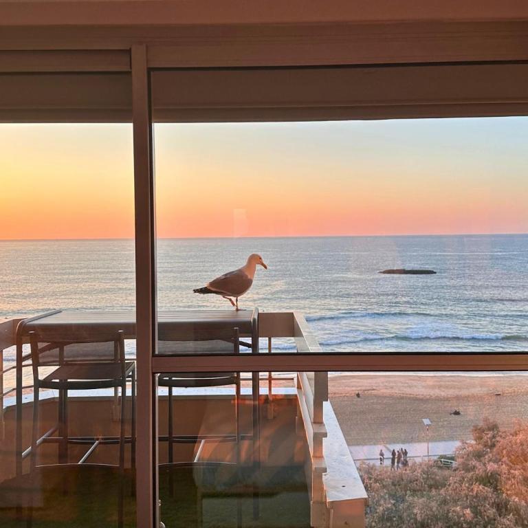 Baïa - Studio vue imprenable sur la mer - Studio - 12