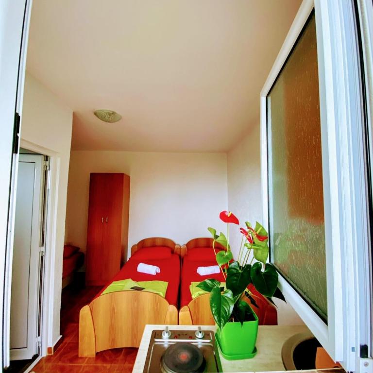 Apartments Belvedere - Apartman s 1 Spavaćom Sobom i Vrtom - 1
