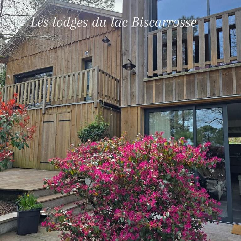 Le Domaine des Lodges du Lac Biscarrosse - Villa - 12