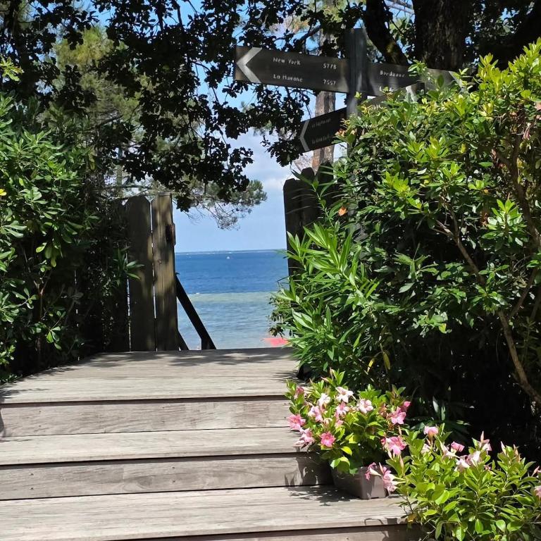 Le Domaine des Lodges du Lac Biscarrosse - Villa - 17