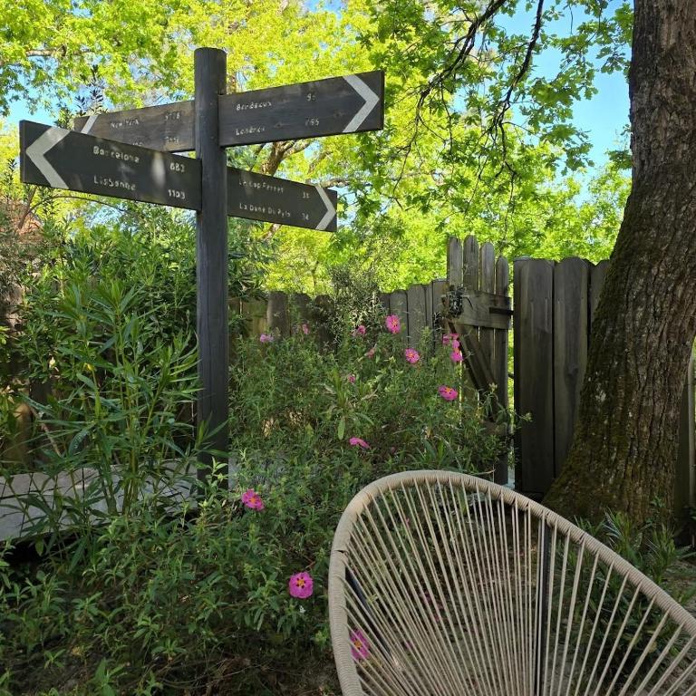 Le Domaine des Lodges du Lac Biscarrosse - Villa - 23