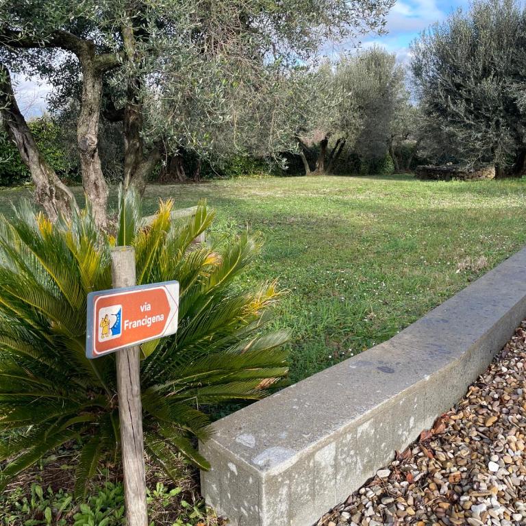 Villa San Pellegrino in the Olive Grove - Casa con 3 Camere da Letto - 19