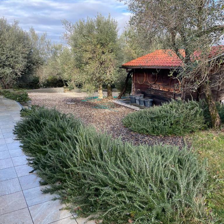 Villa San Pellegrino in the Olive Grove - Casa con 3 Camere da Letto - 26