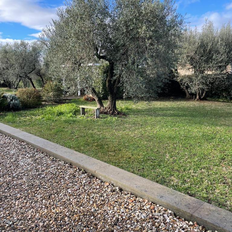Villa San Pellegrino in the Olive Grove - Casa con 3 Camere da Letto - 37