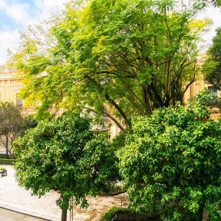 Alohamundi Plaza del Museo - Apartamento - 62