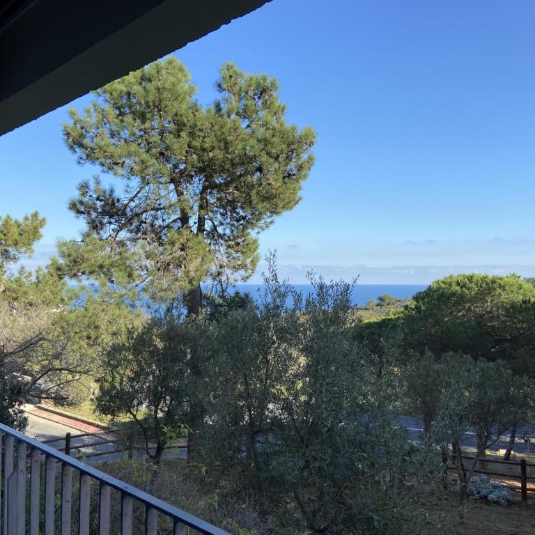 Appart 2 pièces 4 couchages BANYULS SUR MER BN100-B401 - Apartment mit 1 Schlafzimmer - 15