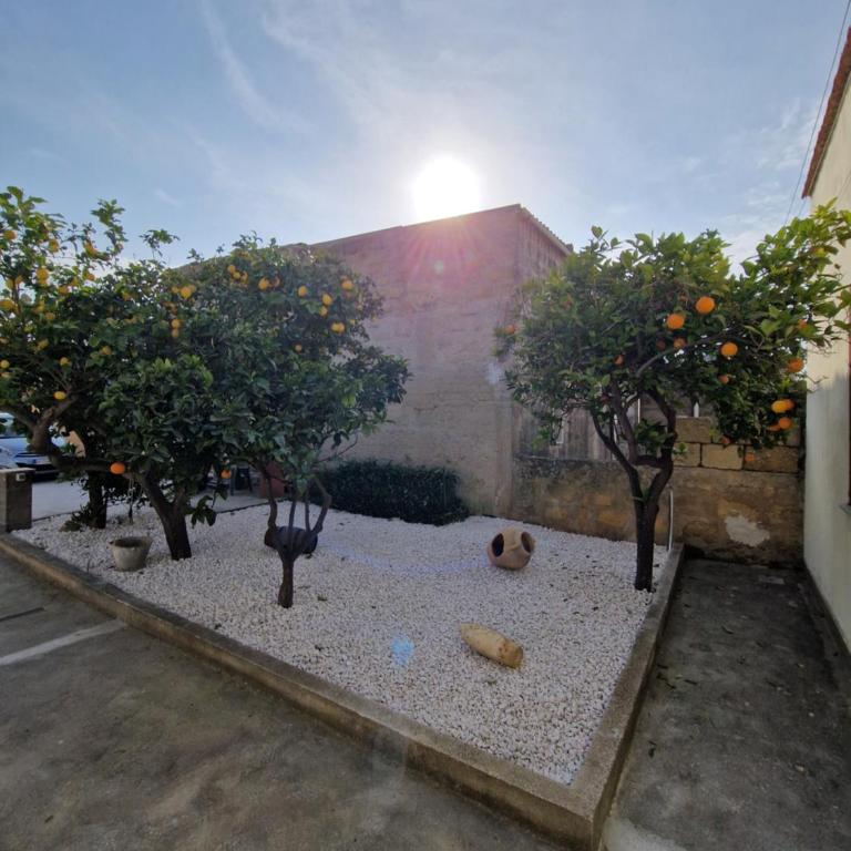 Santa Lucia apartment - Appartamento - 2