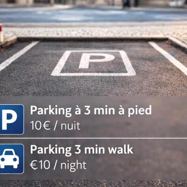 Nancy Gare Centre Parking - Appartement 1 Chambre - 9