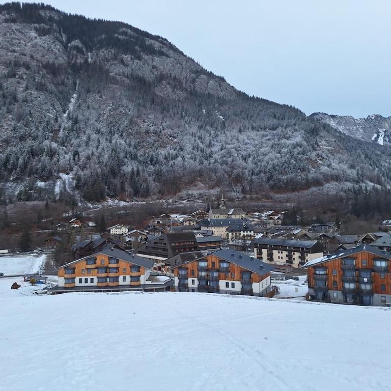 Les Chalets d'Offaz - Centre Abondance - Alp'in C - Appartement 2 Chambres - 9