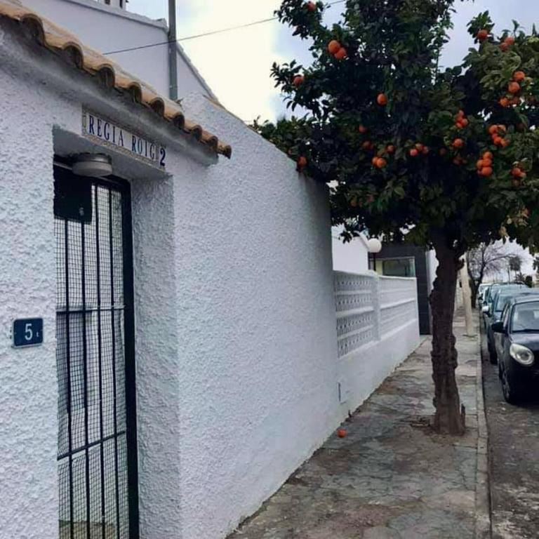 Cozy apartment overlooking Cabo Roig strip - Apartamento de 2 dormitorios con vistas a la piscina - 20