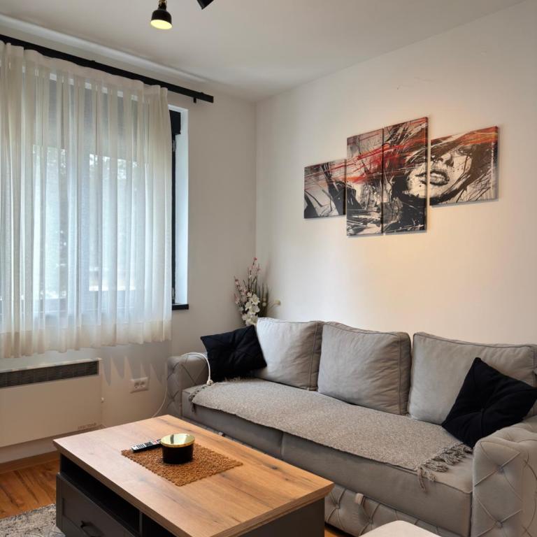 Avala Nest - Titova Vila - One-Bedroom Apartment - 9