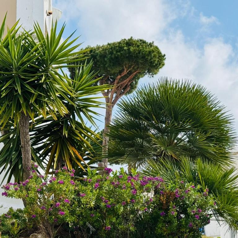 Casa Silvia Marbella - dom w kompleksie hotelowym - Villa de 2 dormitorios - 53