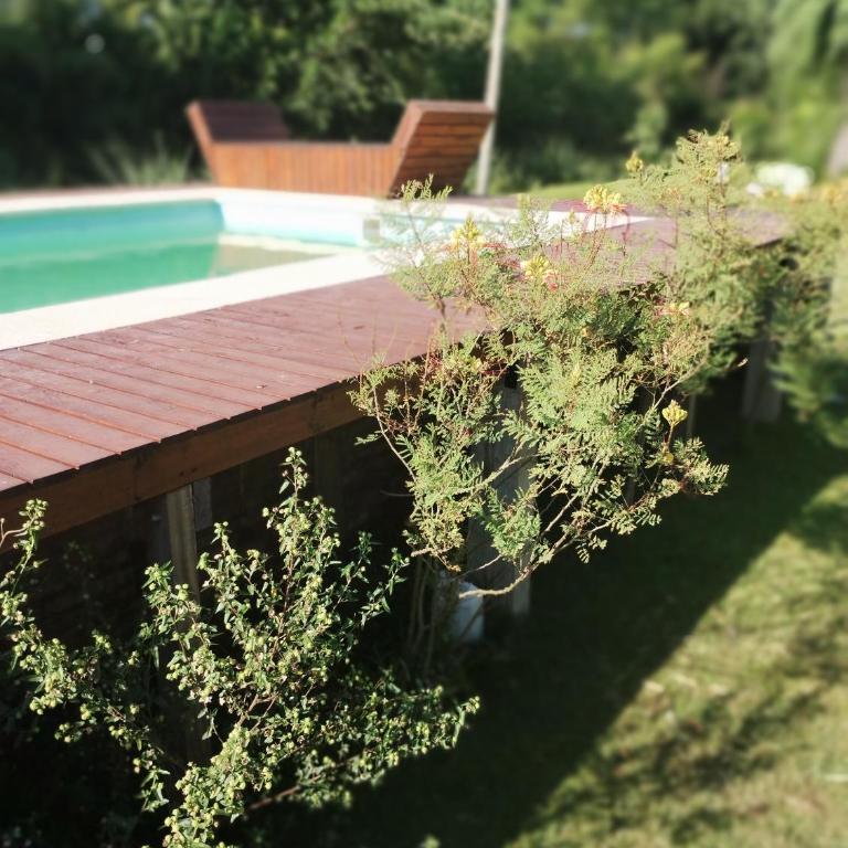 Verdeculturadelta Cabaña En Delta Tigre, Isla Muy Cerca Del Continente Con Pileta Y Playa Humeda , pet Friendly - Casa con 1 dormitorio - 7
