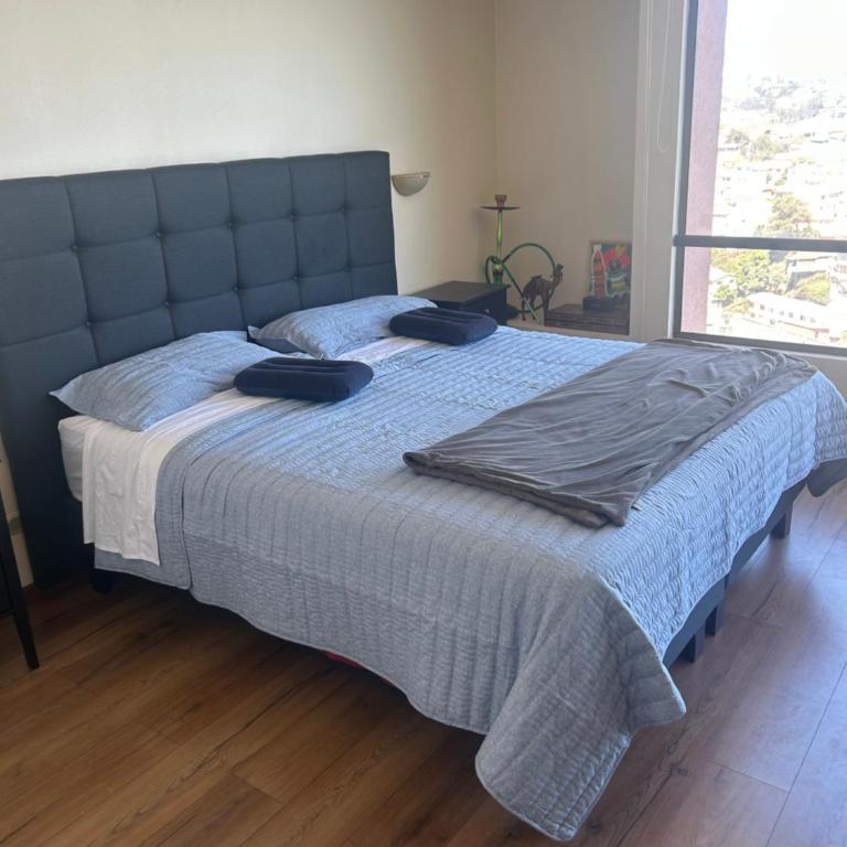DEPTO RESORT Gran Océano Gold - One-Bedroom Apartment - 11