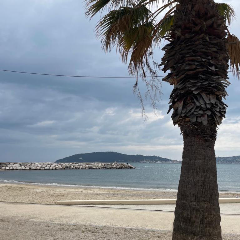 L'escale Mourillon - Plage, Balnéo & Soleil - Apartment mit 1 Schlafzimmer - 13