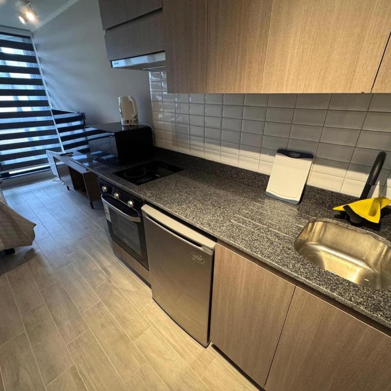 Departamentos Barrio Histórico Valdivia - Apartamento de 2 dormitorios - 4