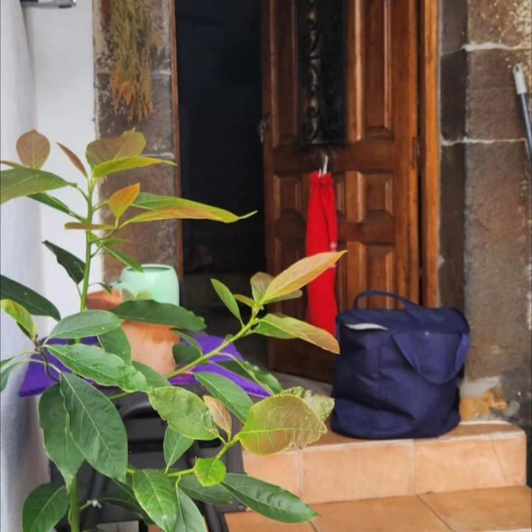 El sueño del Viajero VV-791-AS vivenda vacacional - Casa de 3 dormitorios - 20