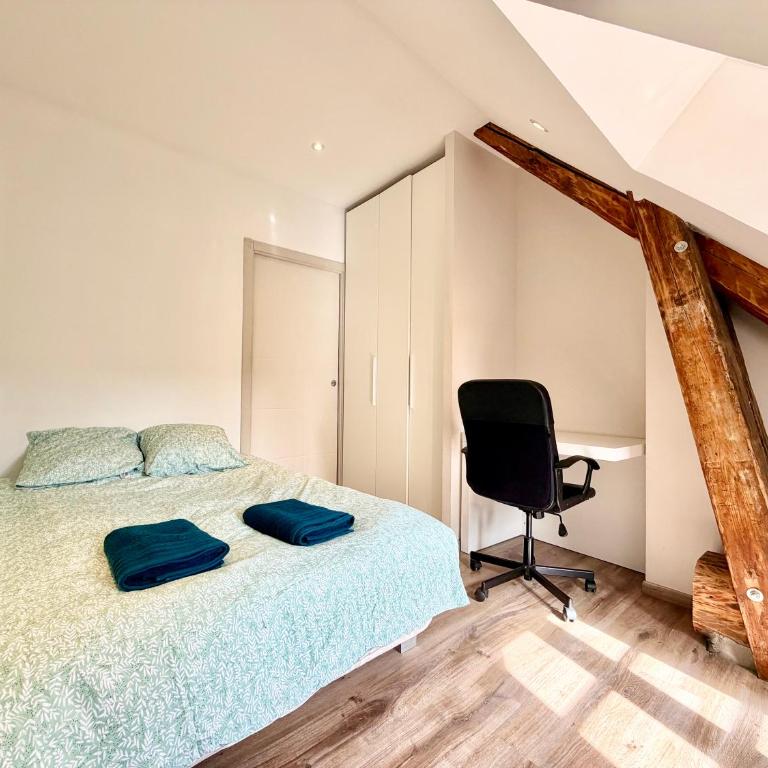 Au grand cœur d'Annecy - Appartement 2 Chambres - 20
