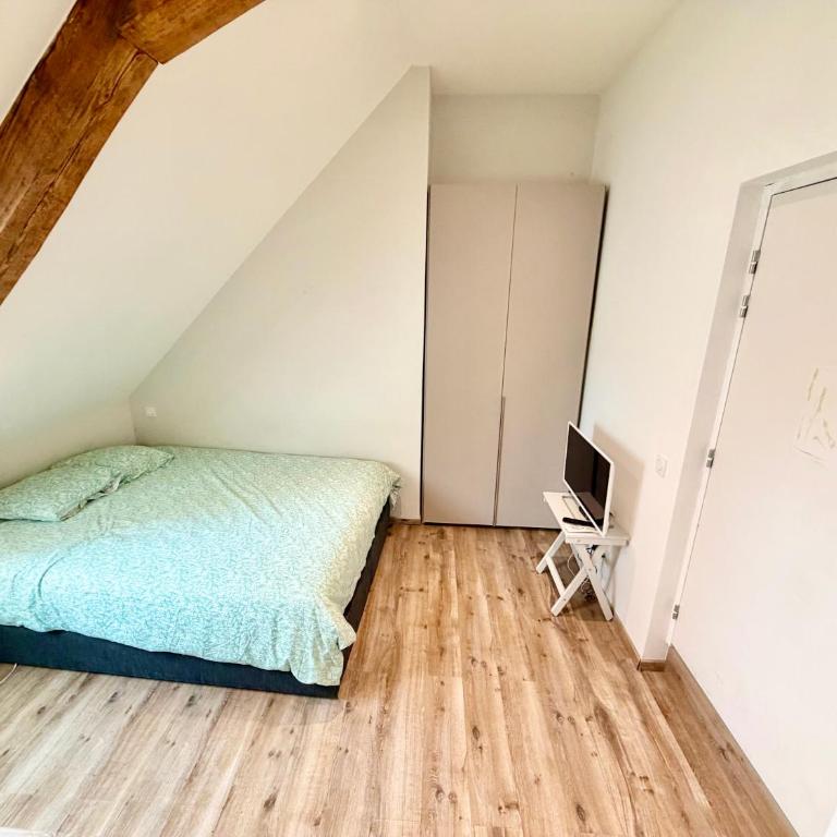 Au grand cœur d'Annecy - Appartement-Studio avec 1 Lit Double - 6