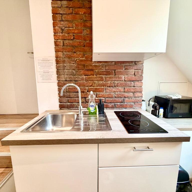 Au grand cœur d'Annecy - Appartement-Studio avec 1 Lit Double - 5
