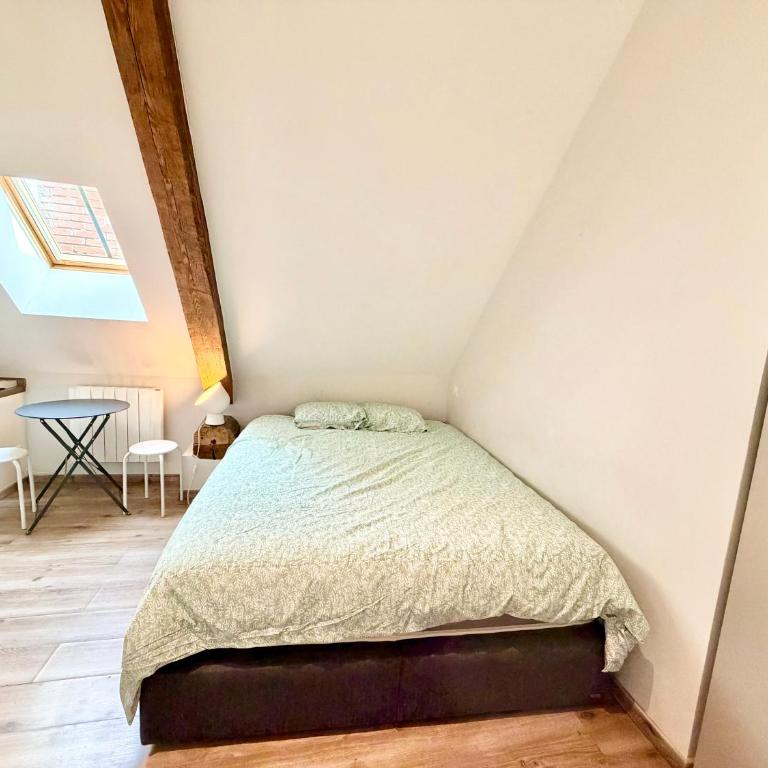 Au grand cœur d'Annecy - Appartement-Studio avec 1 Lit Double - 4