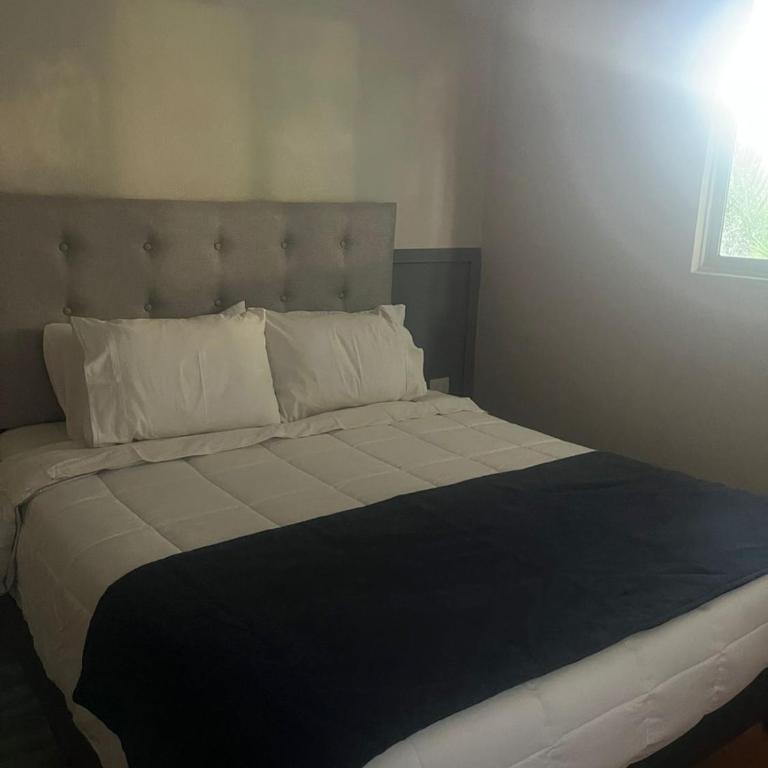 Casa Encino II - Three-Bedroom House - 5