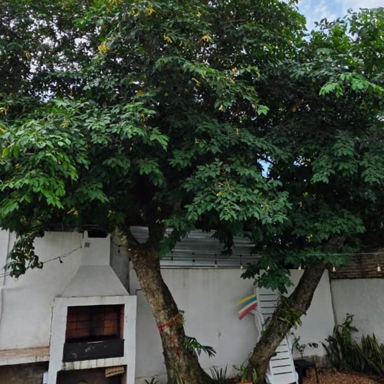Casa familiar estilo colonial a metros del lago - Two-Bedroom House - 2