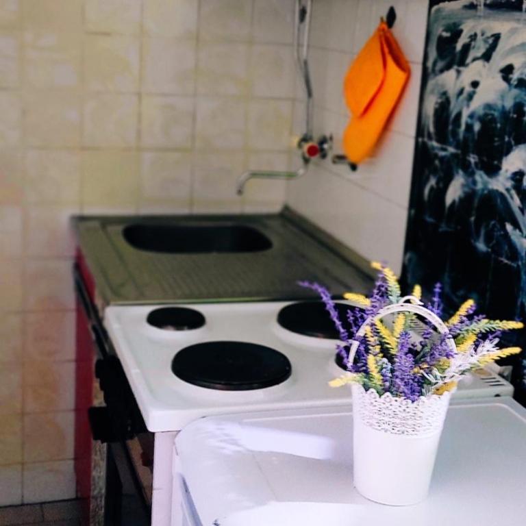 Montenegrina apartment - Apartman sa 1 Spavaćom Sobom - 4