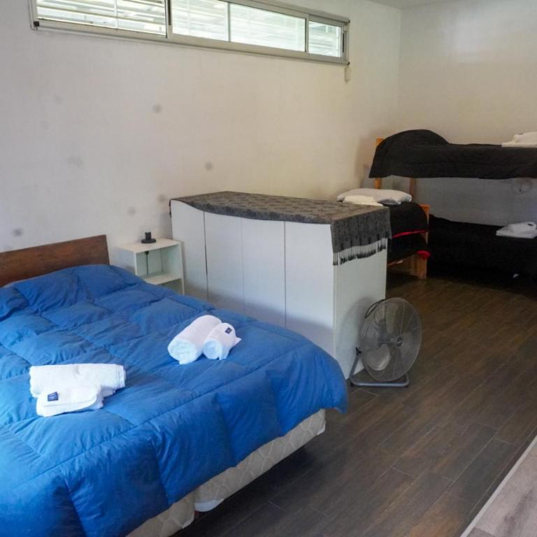 Casa Los Nogales - One-Bedroom House - 23