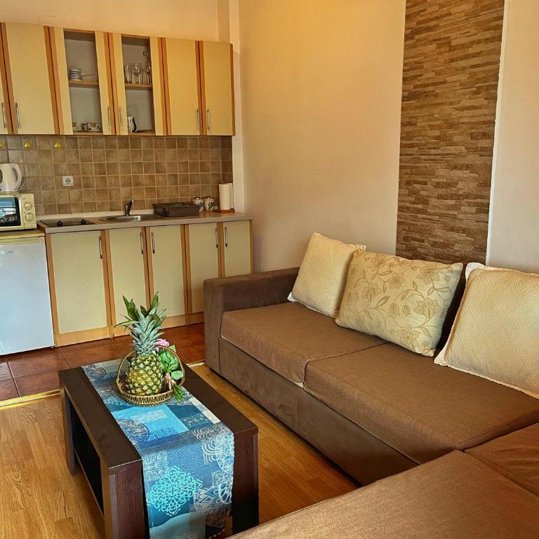 Apartments Lazarević - Comfort One-Bedroom Apartment with Terrace and Sea View - 8