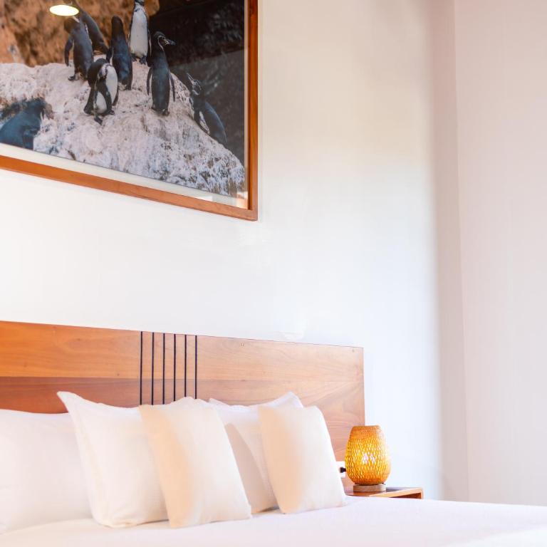 El Barranco Galapagos - King Room with Sea View - 13