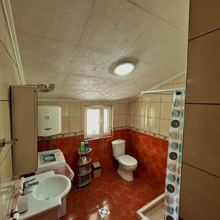 Apartments Lazarević - Comfort One-Bedroom Apartment with Balcony and Sea View - 8