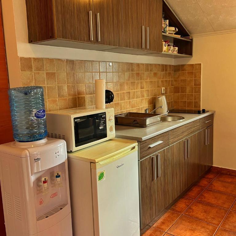Apartments Lazarević - Comfort One-Bedroom Apartment with Balcony and Sea View - 10