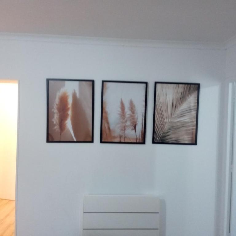 Le Cocon des Halles T2 lumineux au cœur de Béziers - Apartment mit 1 Schlafzimmer - 6