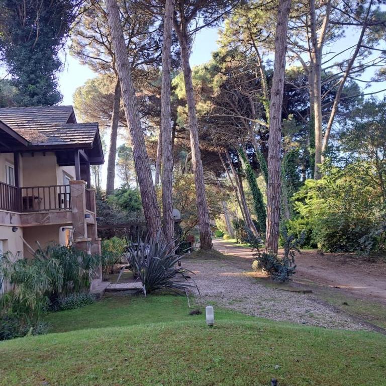 Casa con pileta en el Bosque de Cariló - Ideal Familias - Casa de 3 dormitorios - 3