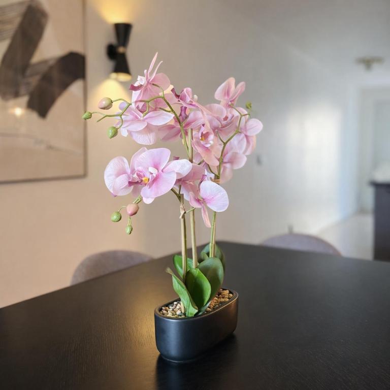 Appart Design Disneyland Paris P1 - Appartement 2 Chambres - 19