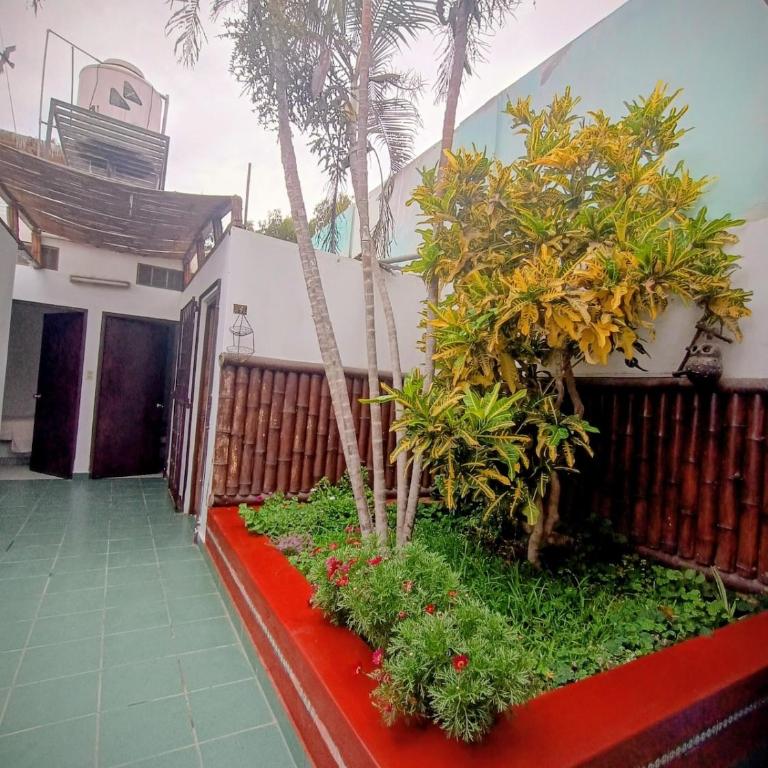 Casa Delfín Cerro Azul 160 m - Casa de 3 dormitorios - 29