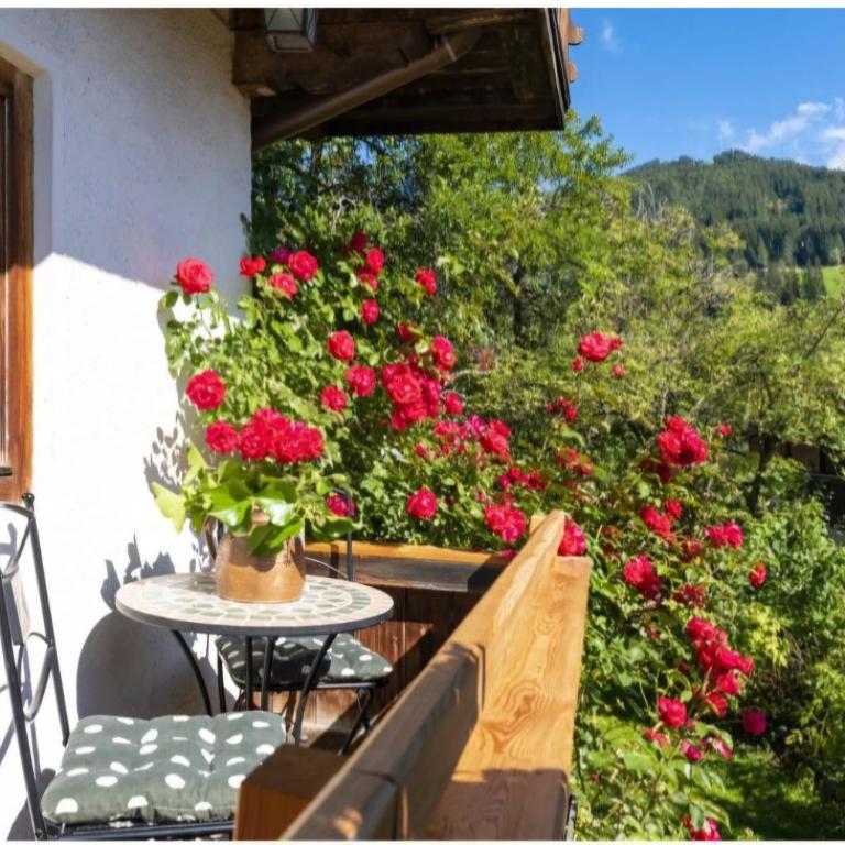 Ferienhaus Lehrerhäusl - Haus mit 4 Schlafzimmern - 10