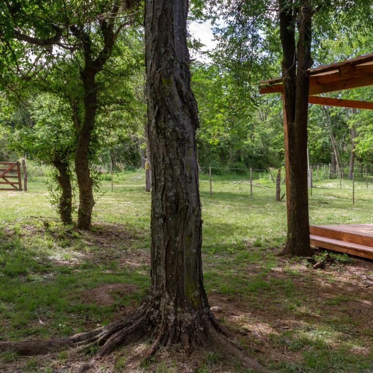 Serendipia Chic - Vacation Home - 15
