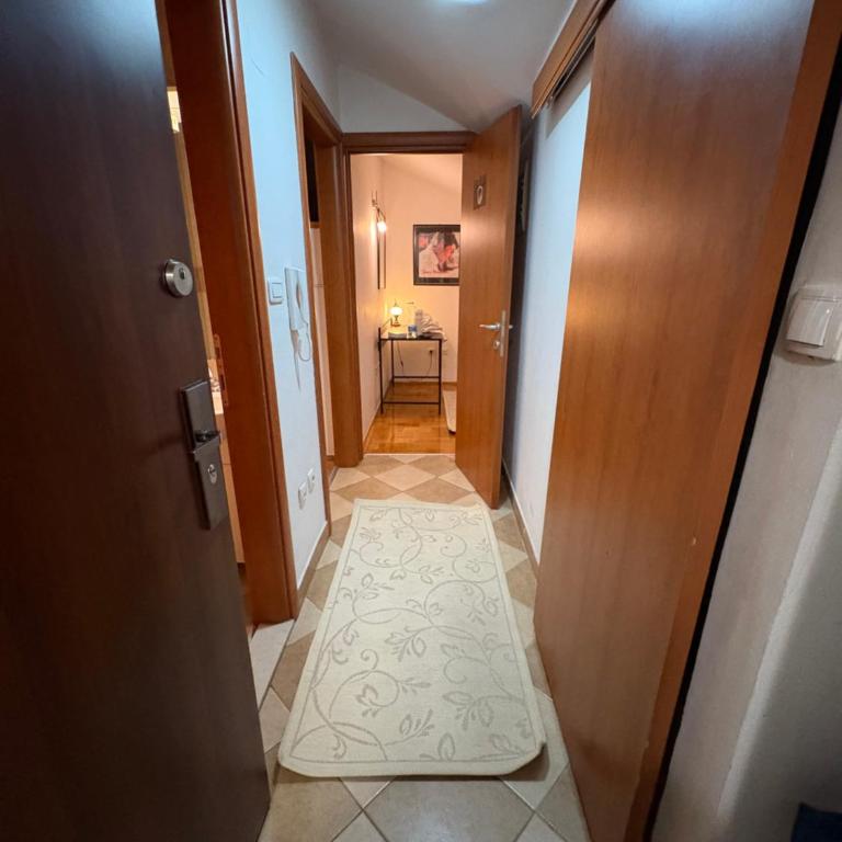 Apartman kod Vezirovog mosta Centar - Apartman sa 1 Spavaćom Sobom - 8