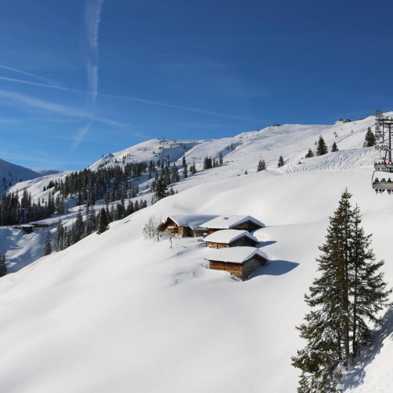 ZuHaus Gruab - Dog Friendly Tyrolean Apartment with fireplace Wildschönau Premiumcard - Apartment mit 1 Schlafzimmer, Balkon und Bergblick - 35