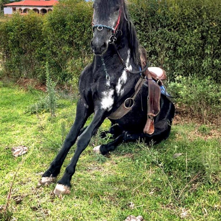 Casa Villa Crisma Luxury - Two-Bedroom House - 15