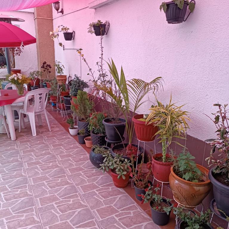 Convivial, confortable et tranquille 3 - Two-Bedroom Apartment - 17