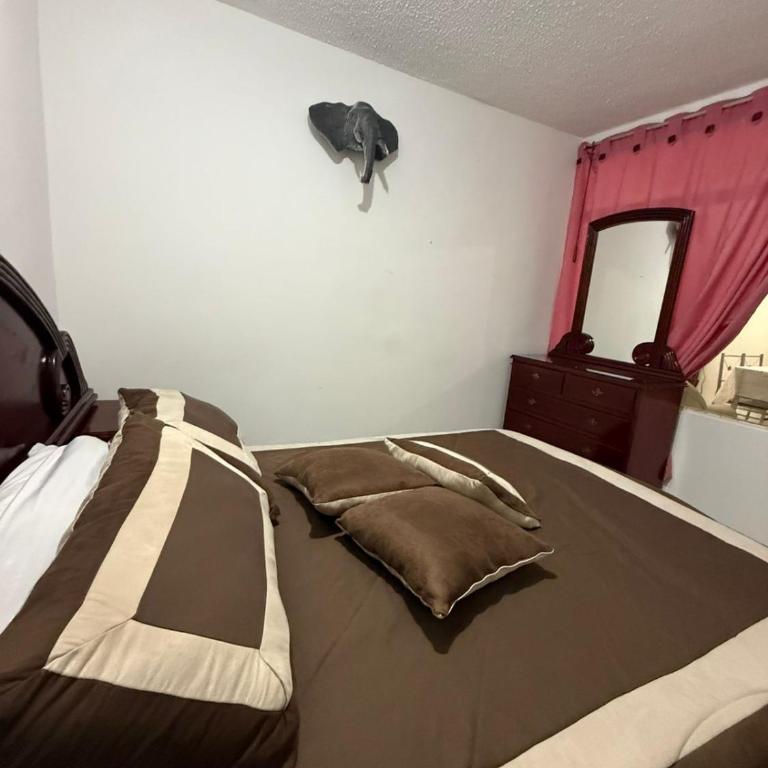 Acogedor Apartamento Pequeño e Independiente - Apartamento - 3